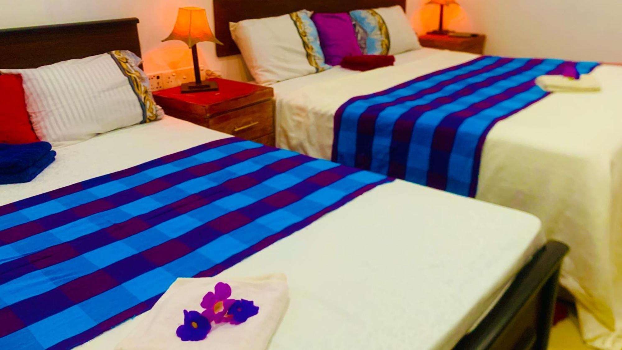 Homestay Aloe