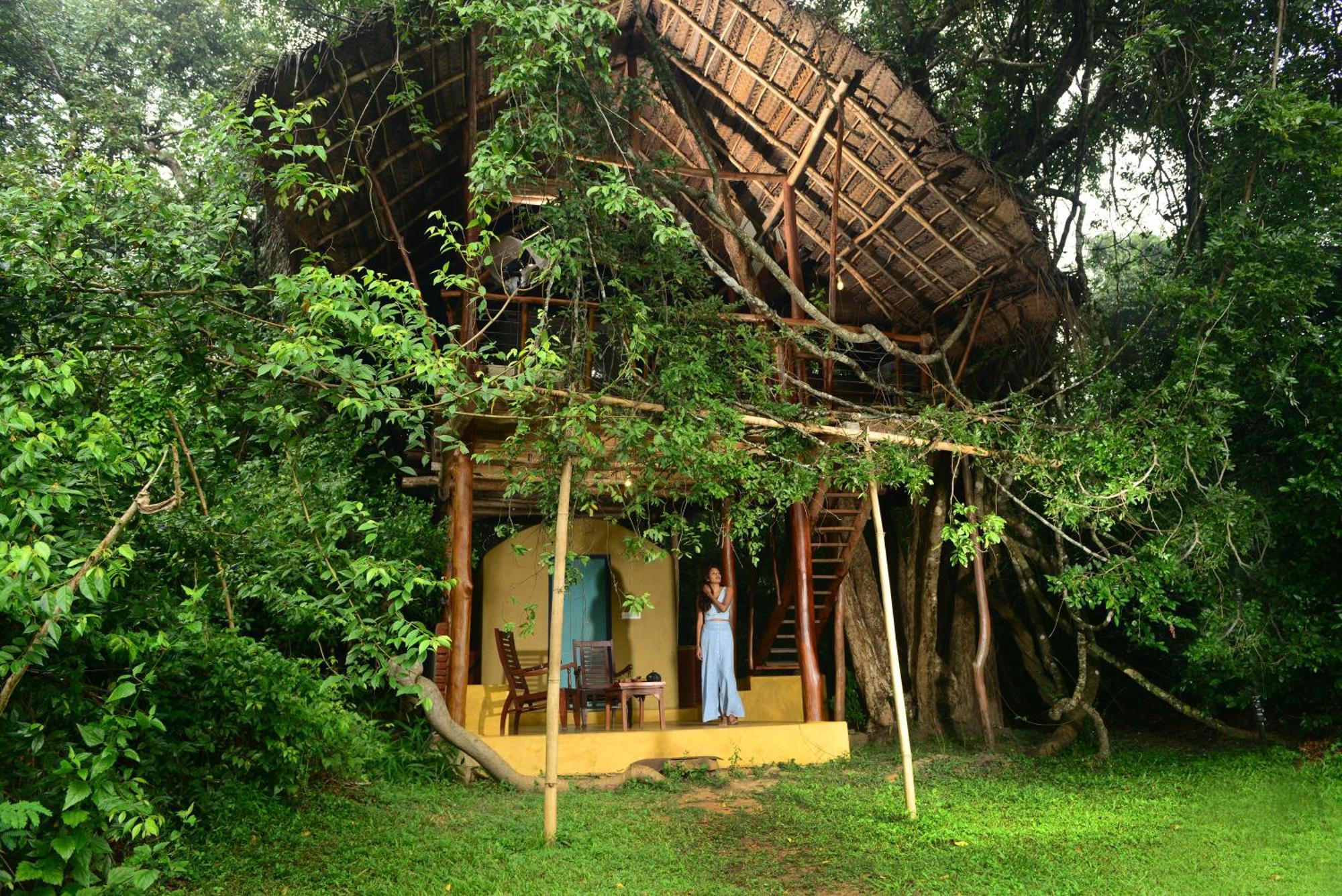 Back Of Beyond - Wild Haven Lodge *
