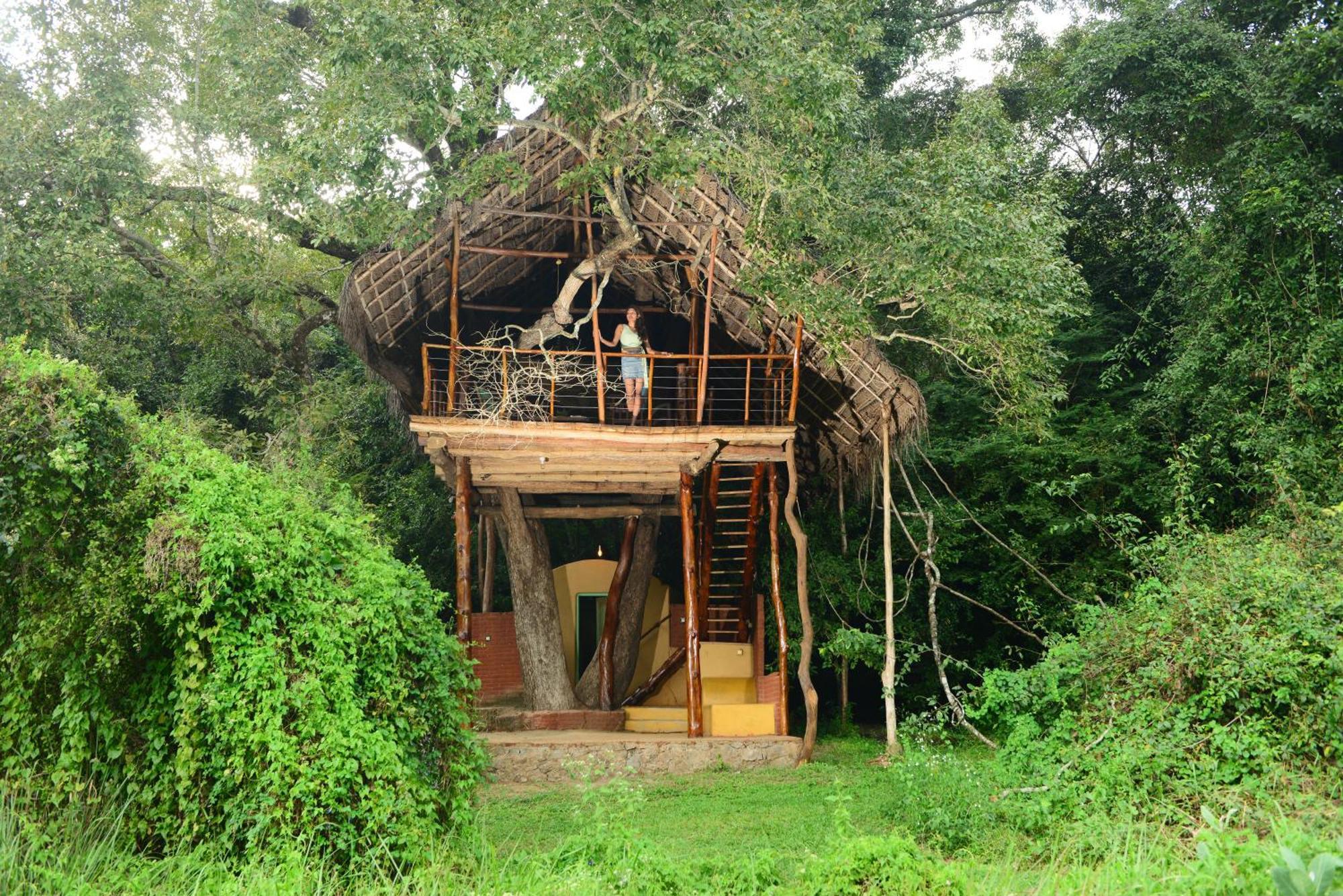 Lodge Back Of Beyond - Wild Haven Sigiriya