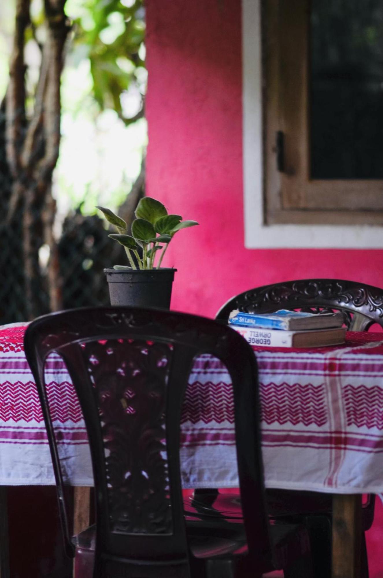 Grass Homestay
