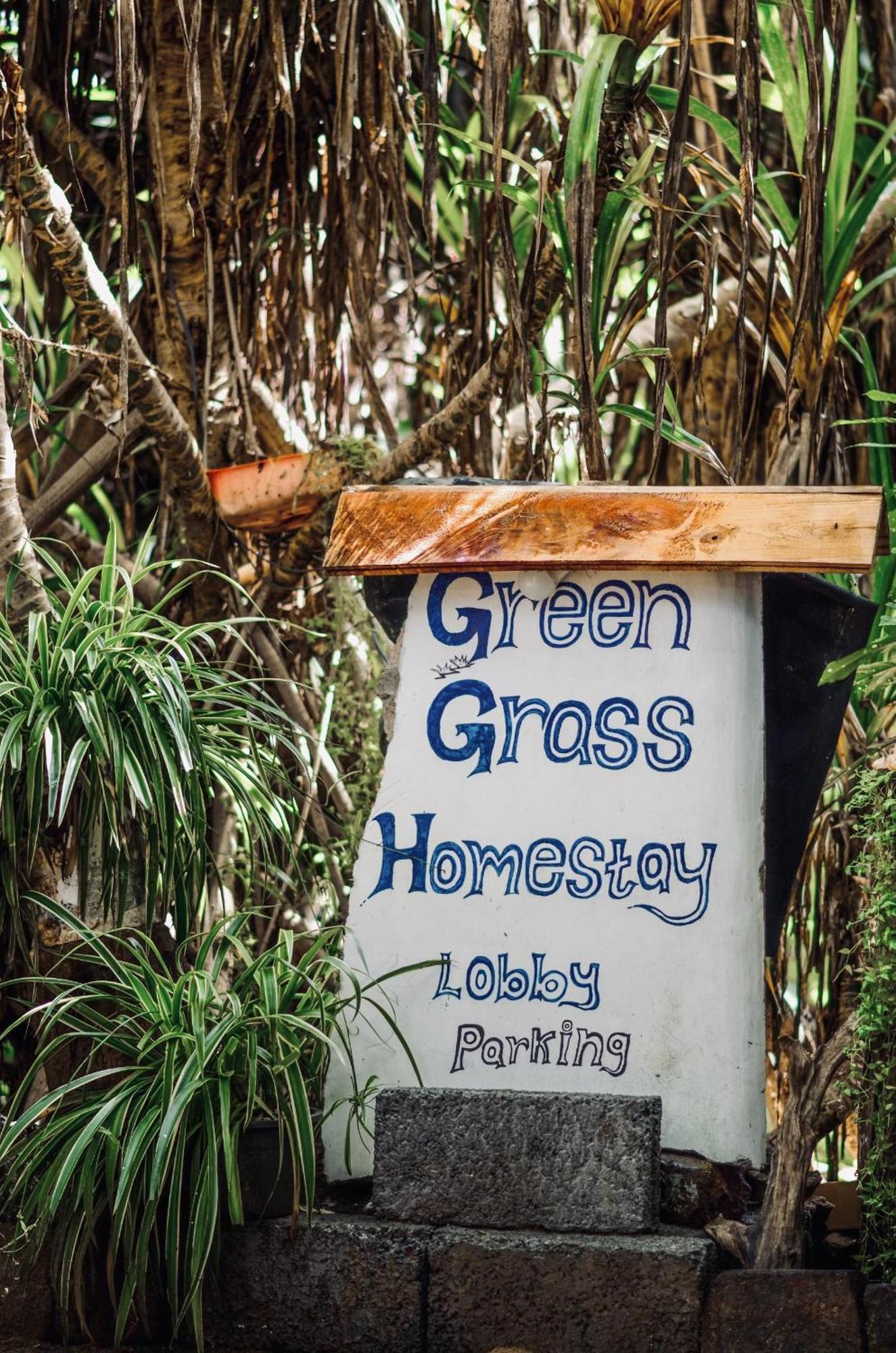 Grass * Sigiriya