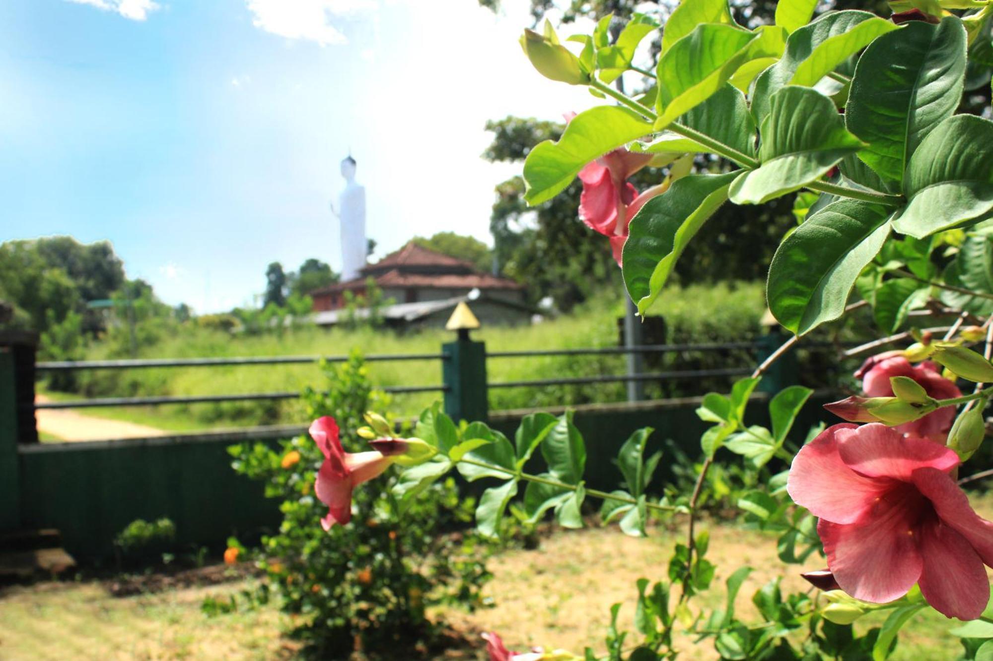 Hut Nature Hotel