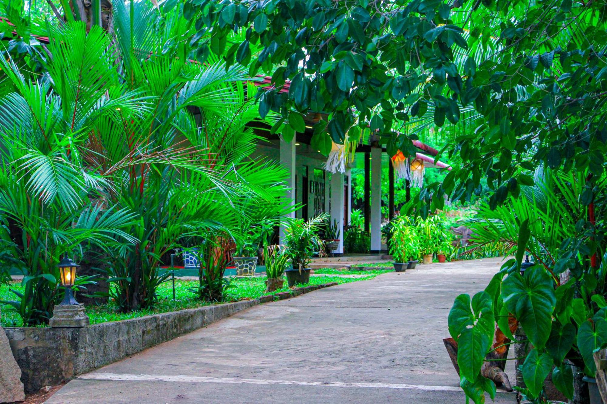 Guest house Sigiri Nisala *
