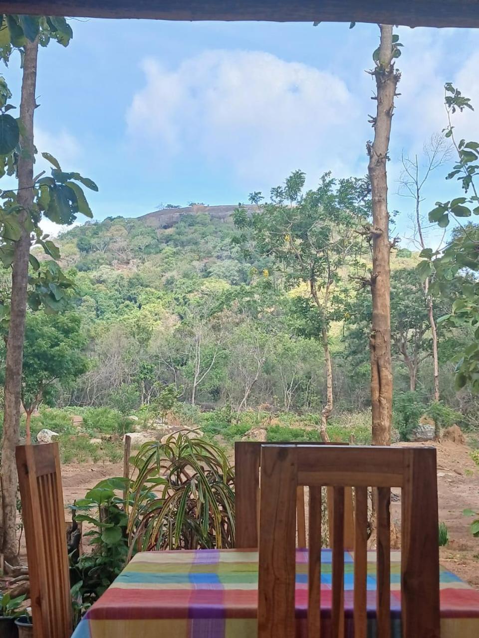 Homestay Pidurangala View Treehouse