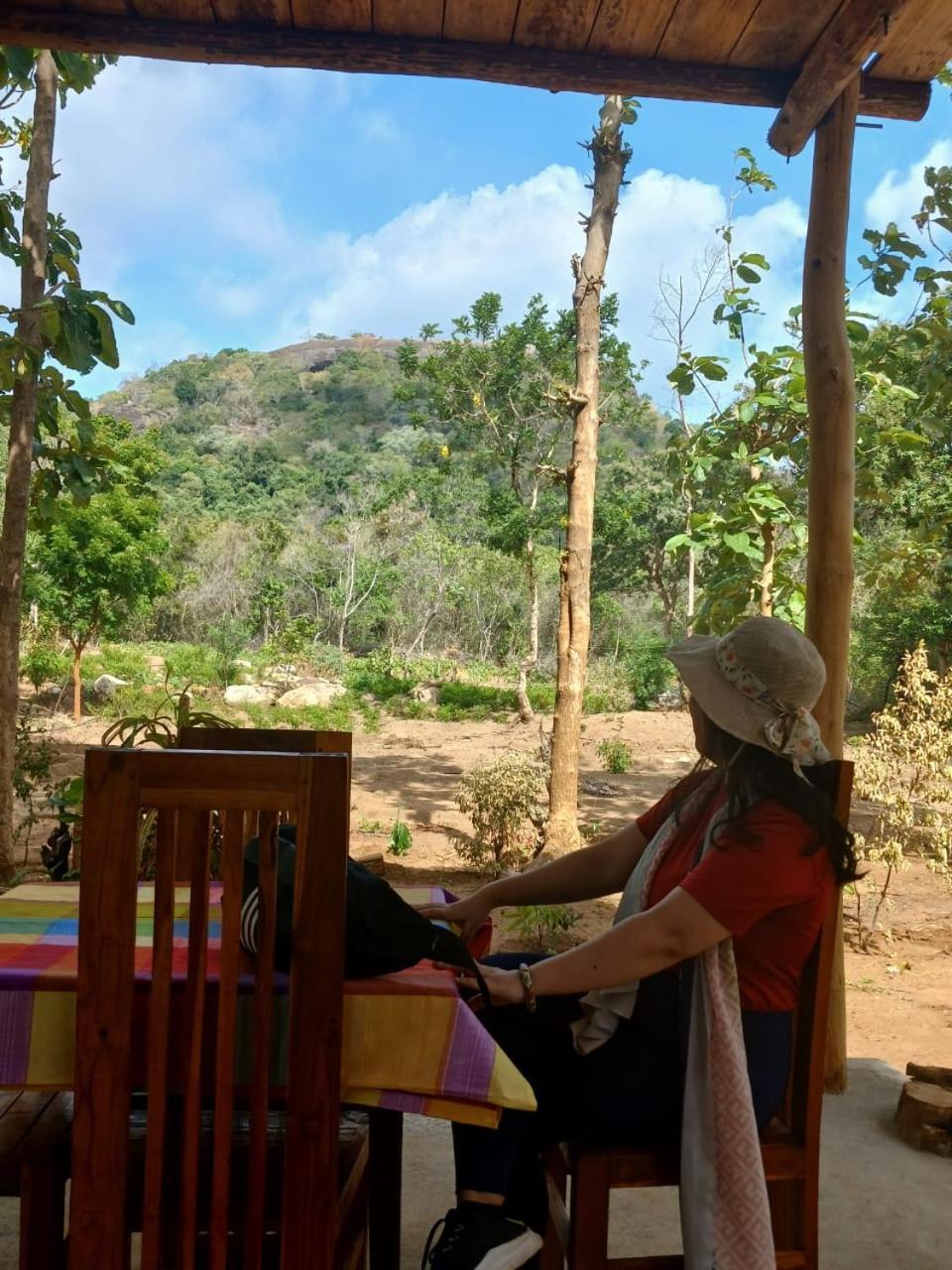 Pidurangala View Treehouse Sigiriya