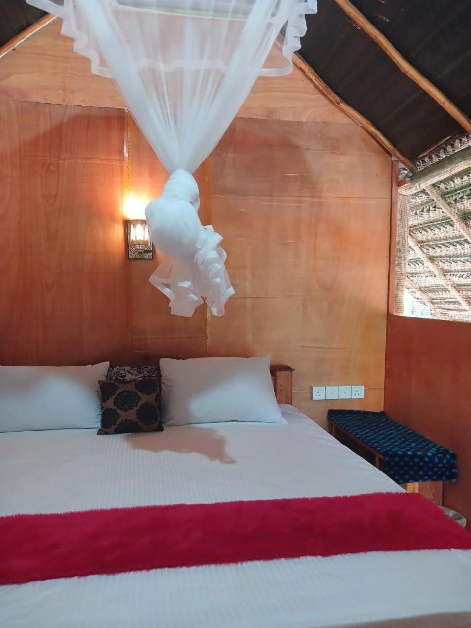 Pidurangala View Treehouse Homestay