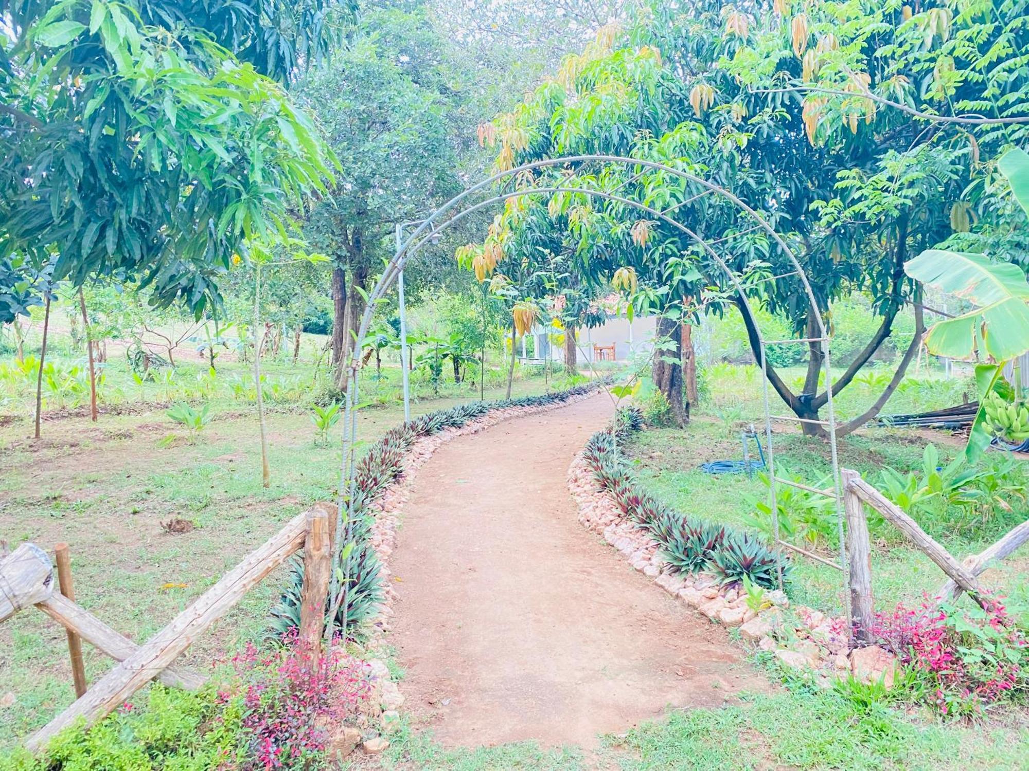 Ima Sigiriya