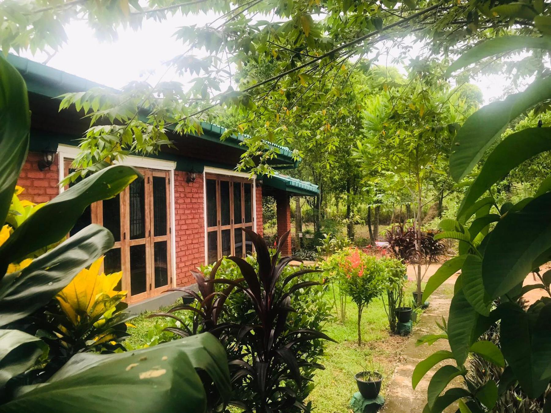 Hotel Sunshine & Sigiriya