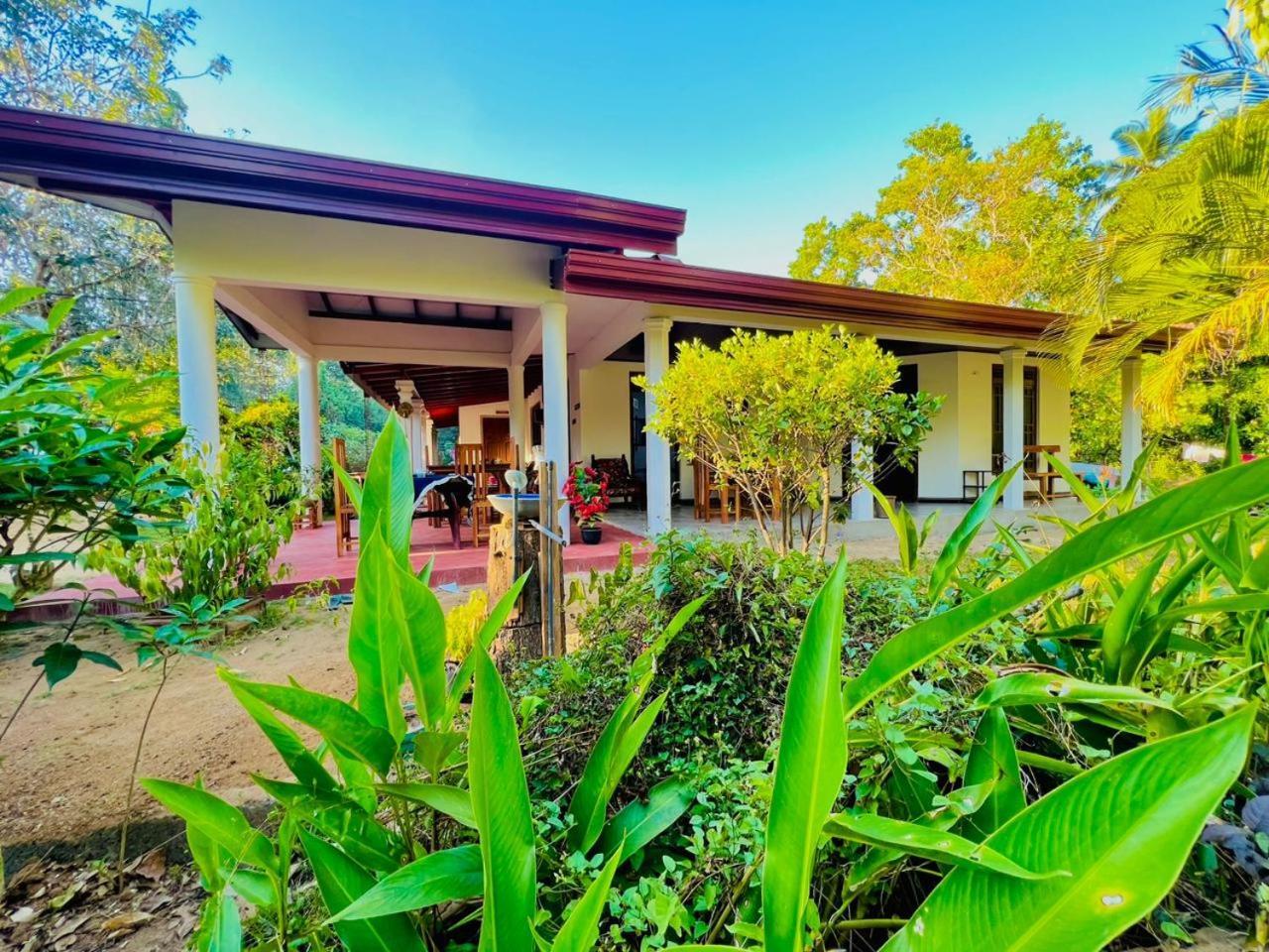 Homestay Moonlight Sigiriya