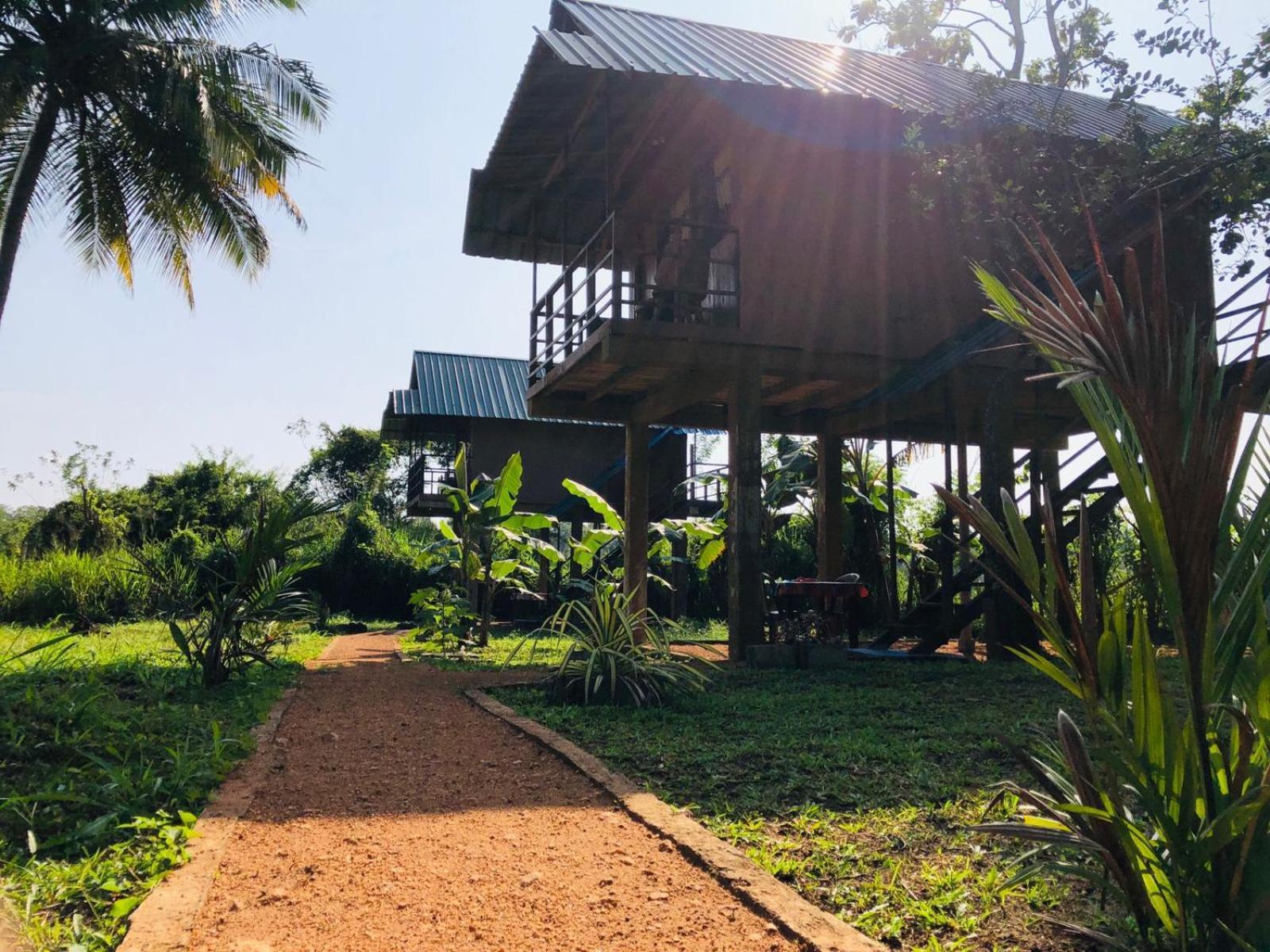 Lodge Paddy Field Hut Sigiriya