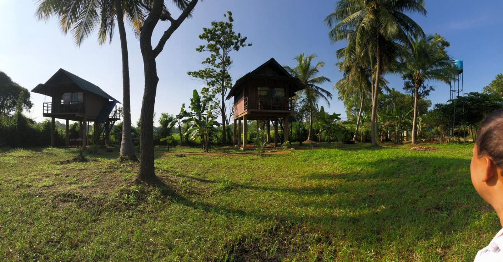 Paddy Field Hut Lodge Sigiriya
