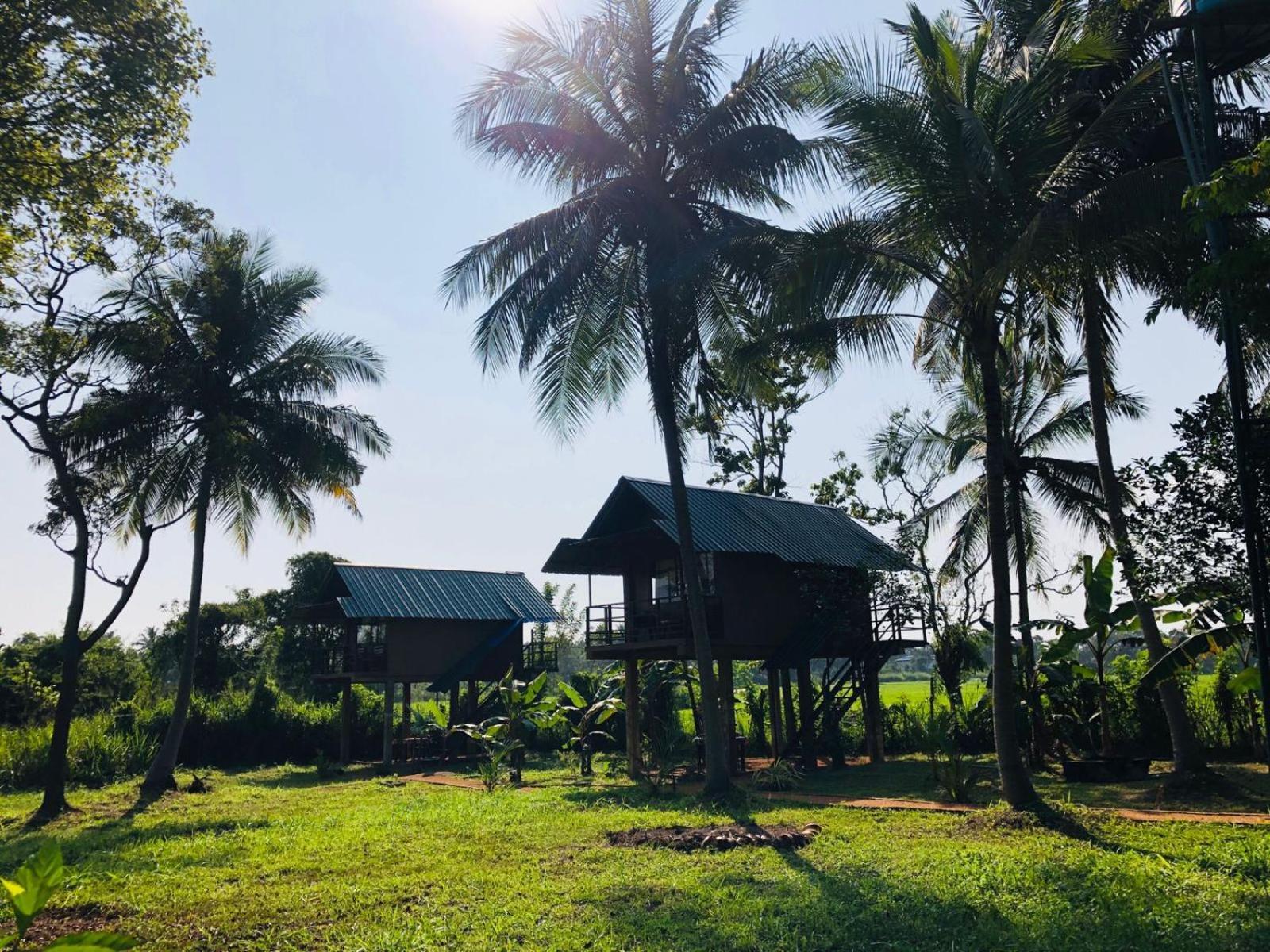 Paddy Field Hut Lodge Sigiriya