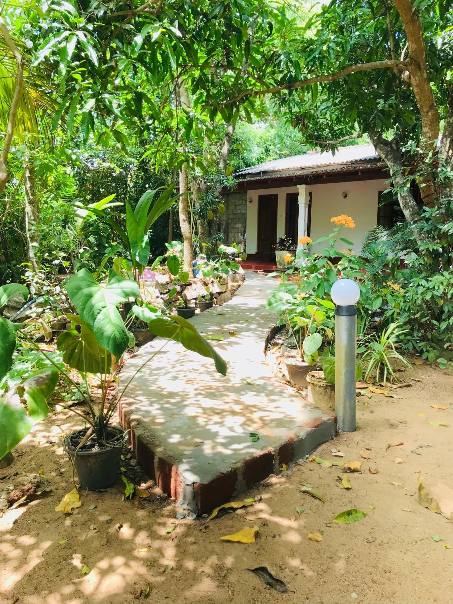 Sigiri Mihira * Sigiriya