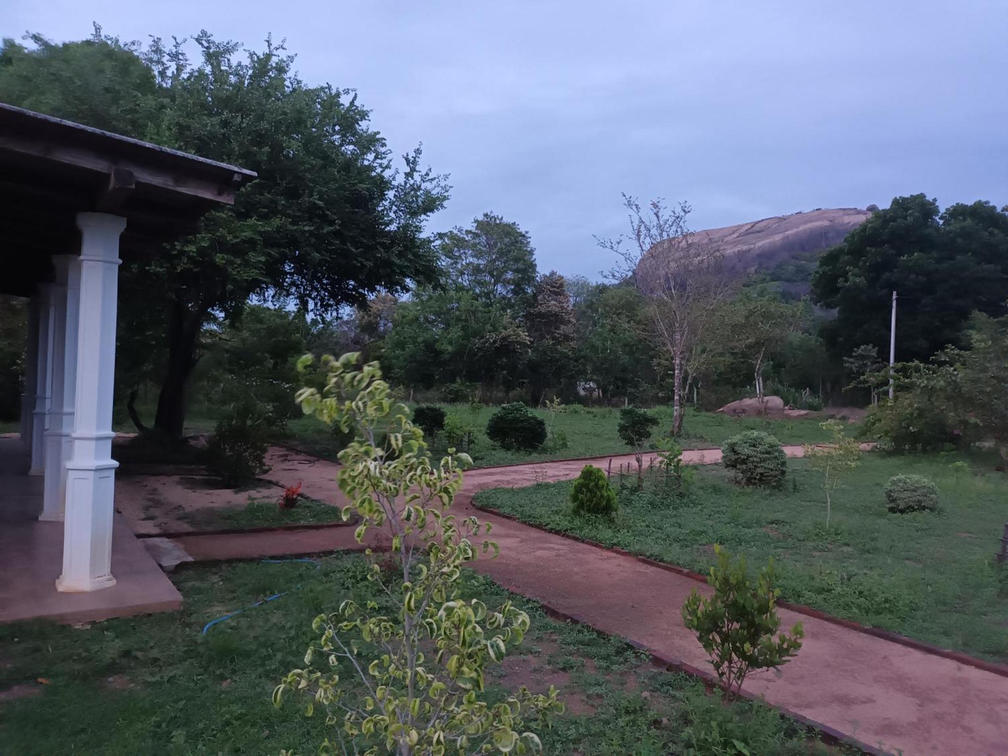 Guest house Sigiri Arana *