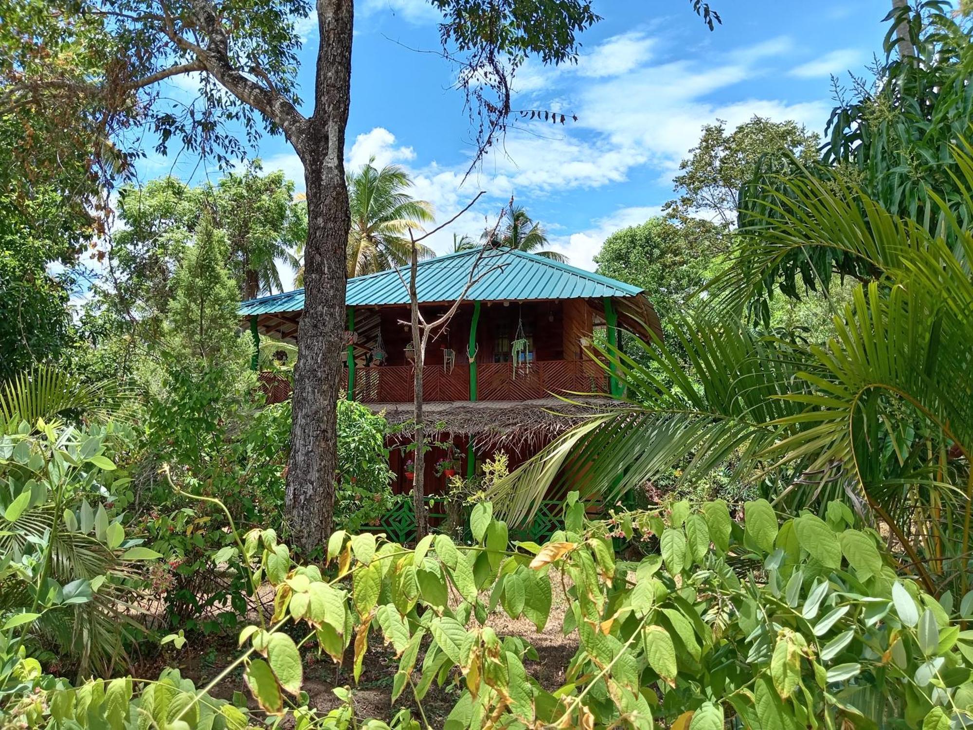 Sigiri Lion Eco Palace Guest house *