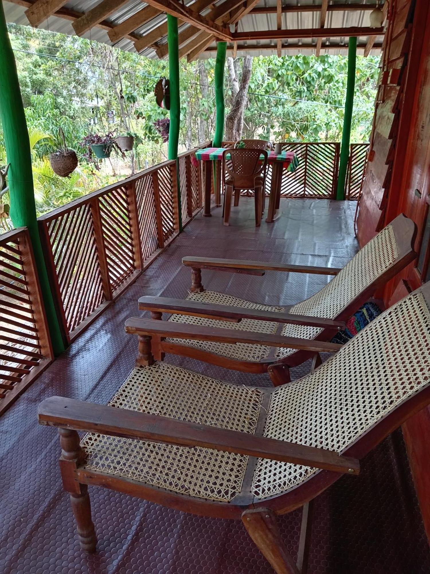 Sigiri Lion Eco Palace Guest house Sigiriya