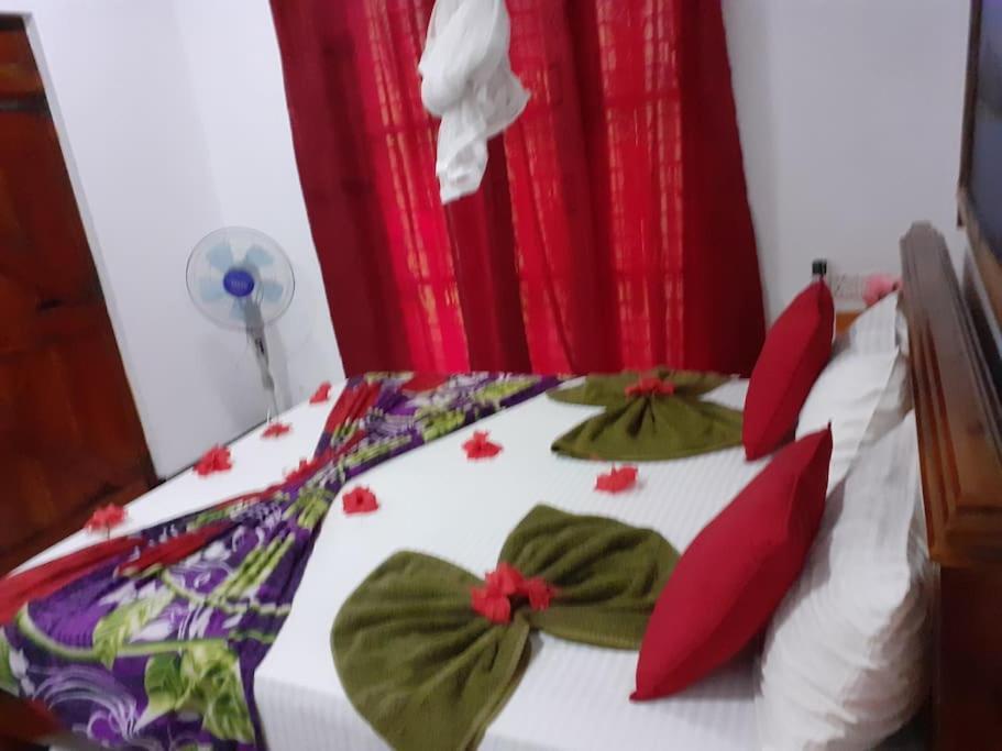 Village Guest house *