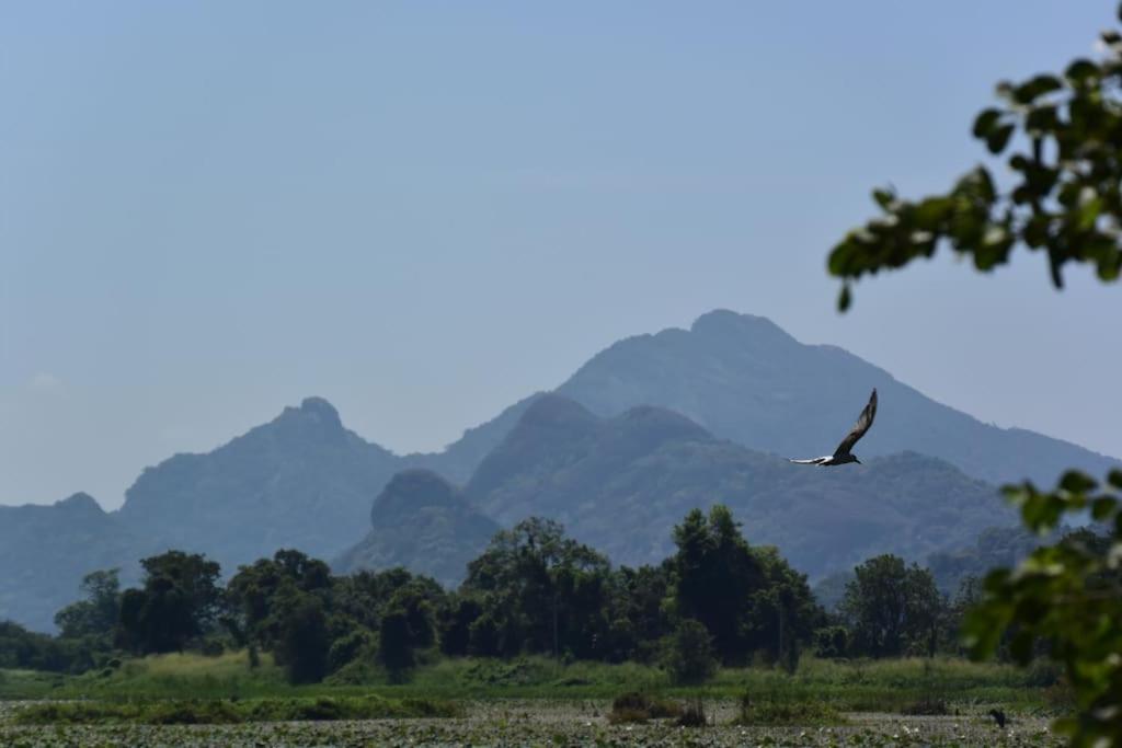 Village Sigiriya