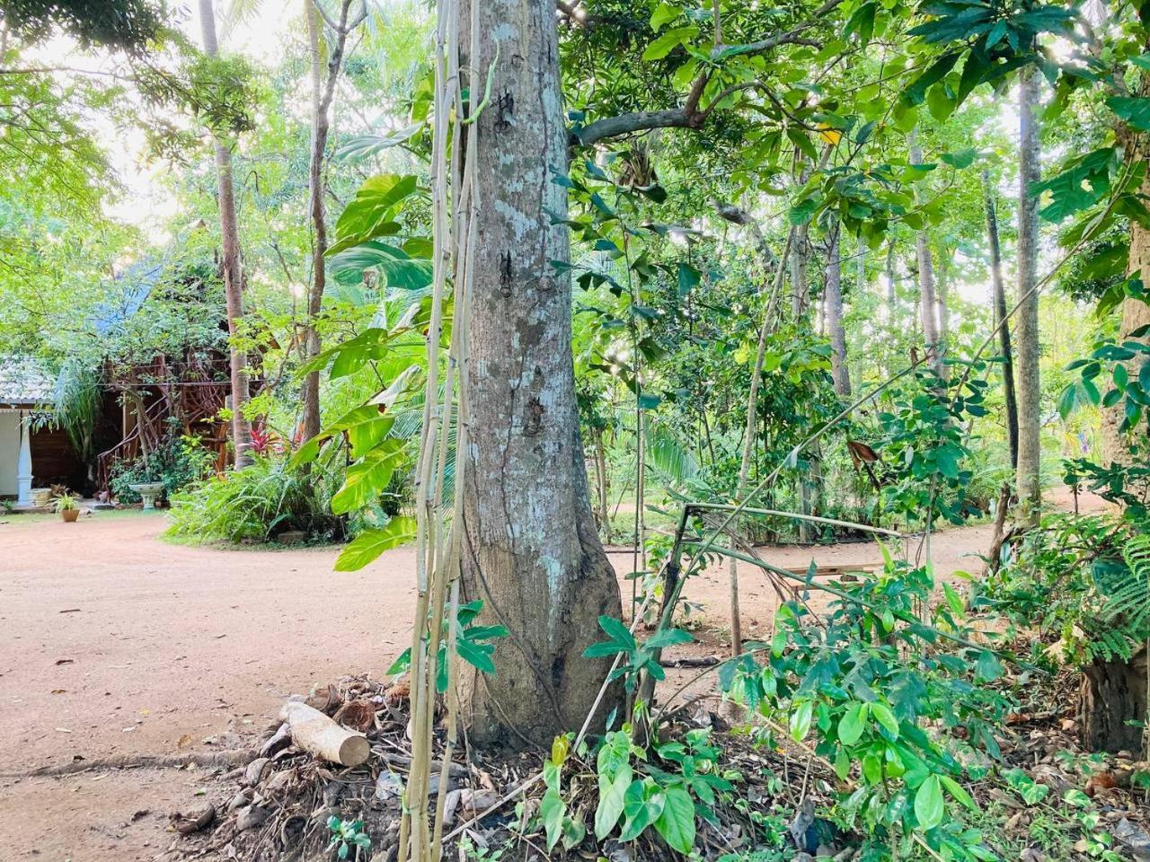 Guest house Sigiri Tree House *