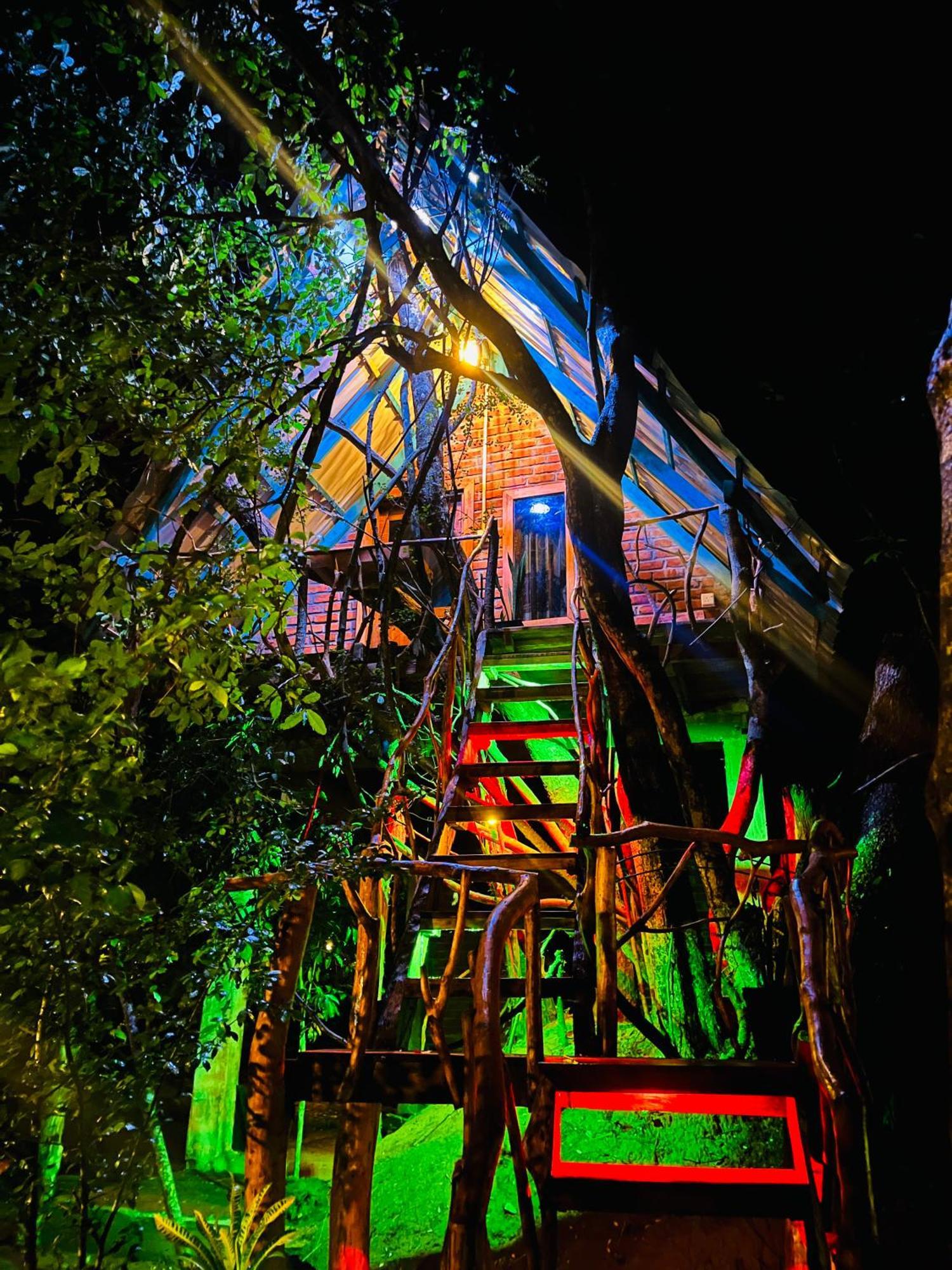 Lodge Ali Adi Eco