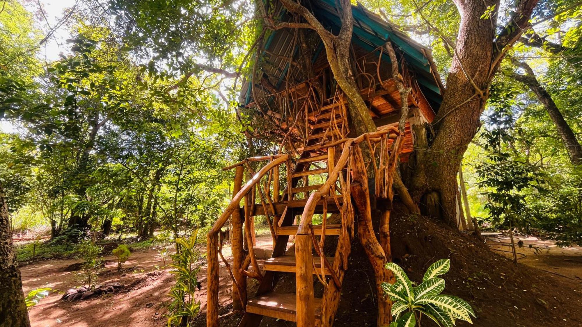 Lodge Ali Adi Eco