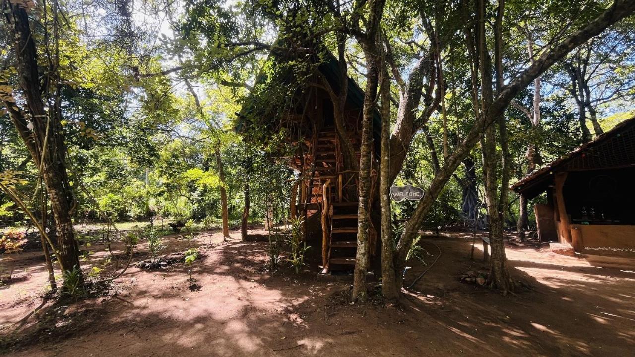 Ali Adi Eco Lodge Sigiriya