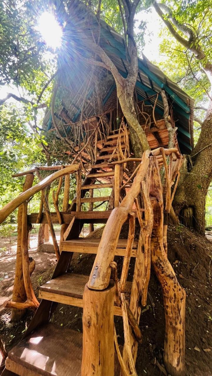 Lodge Ali Adi Eco *