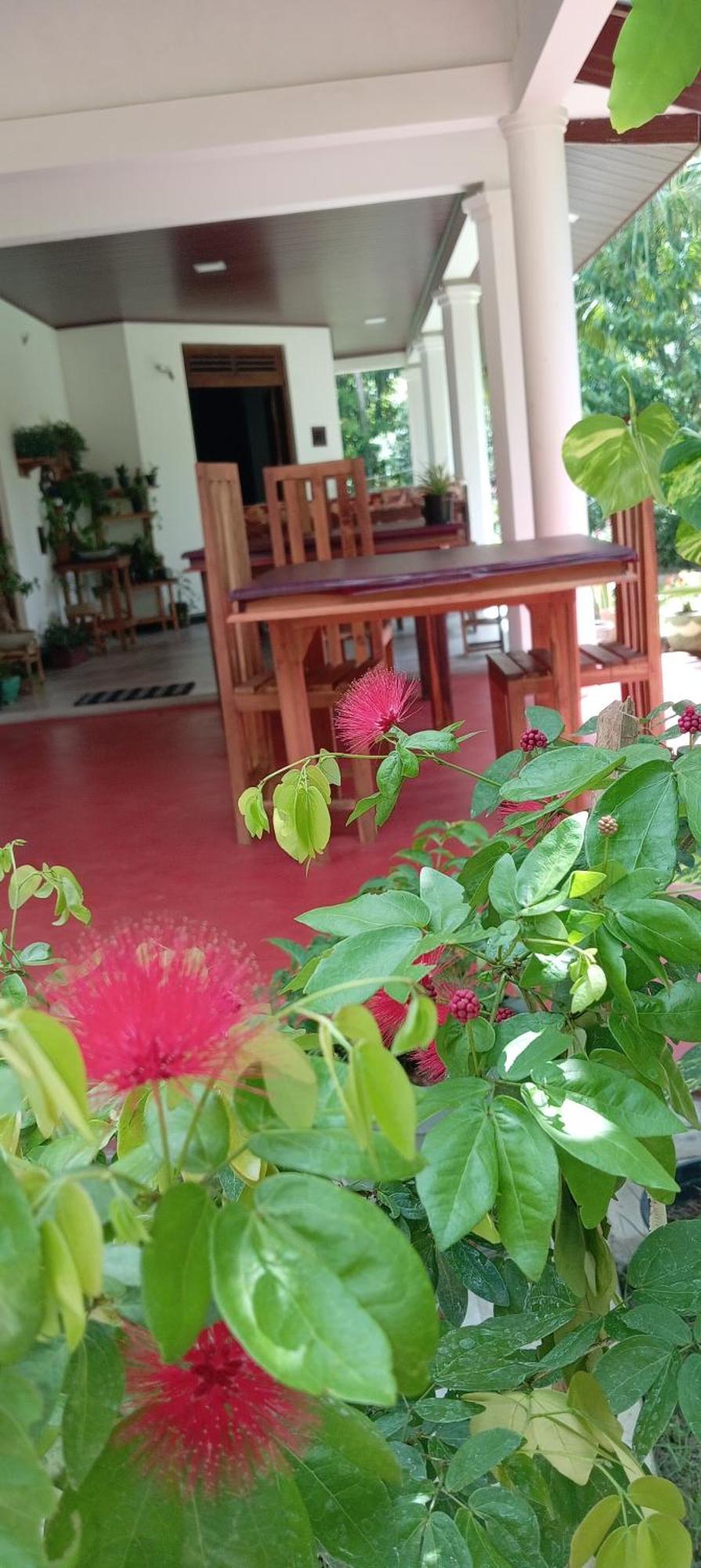 Moonlight Homestay *