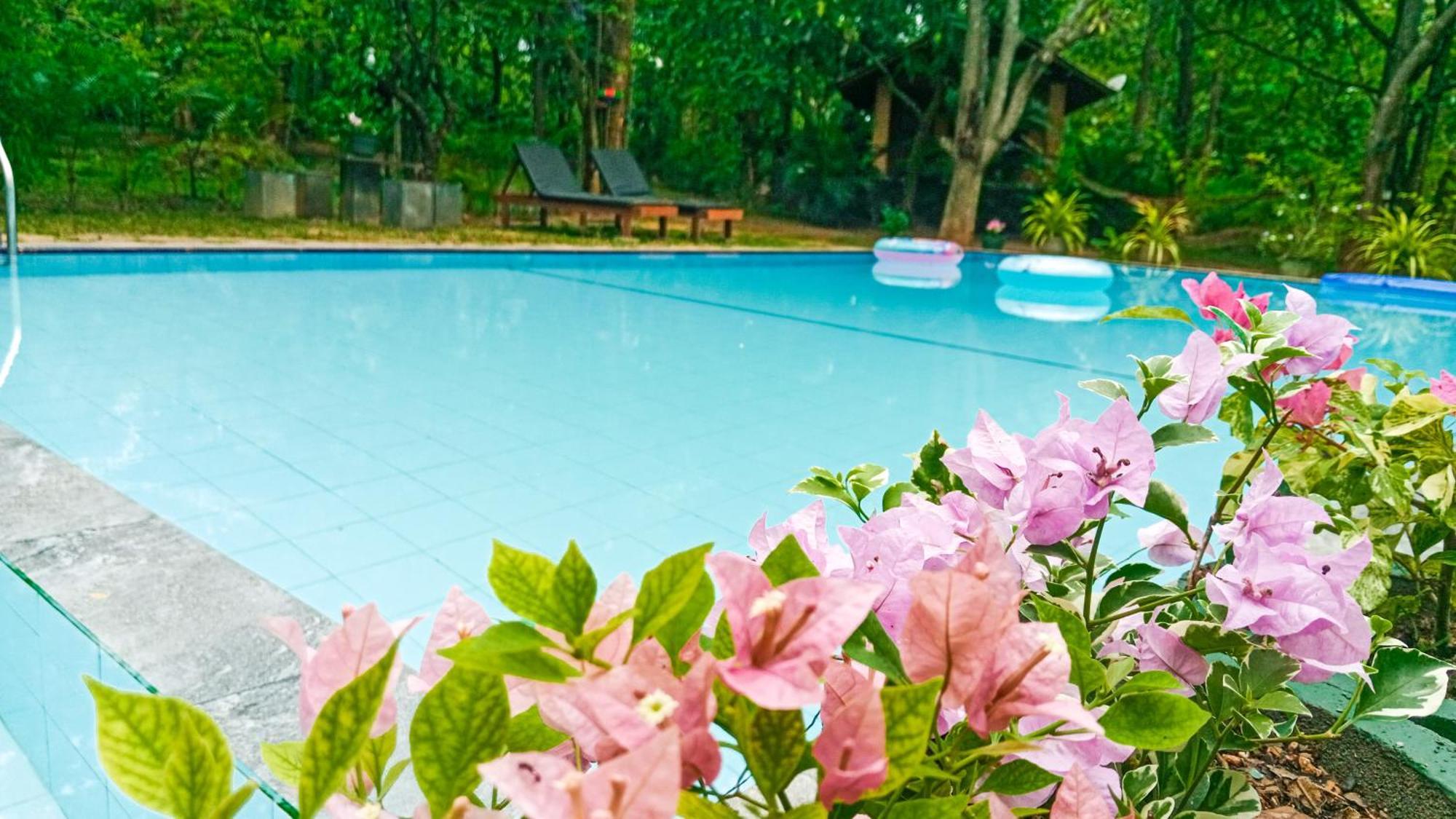 Villa Lotus Eco