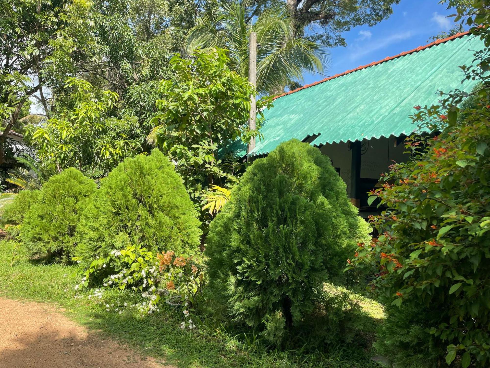 Sigiri Shen Bed & Breakfast