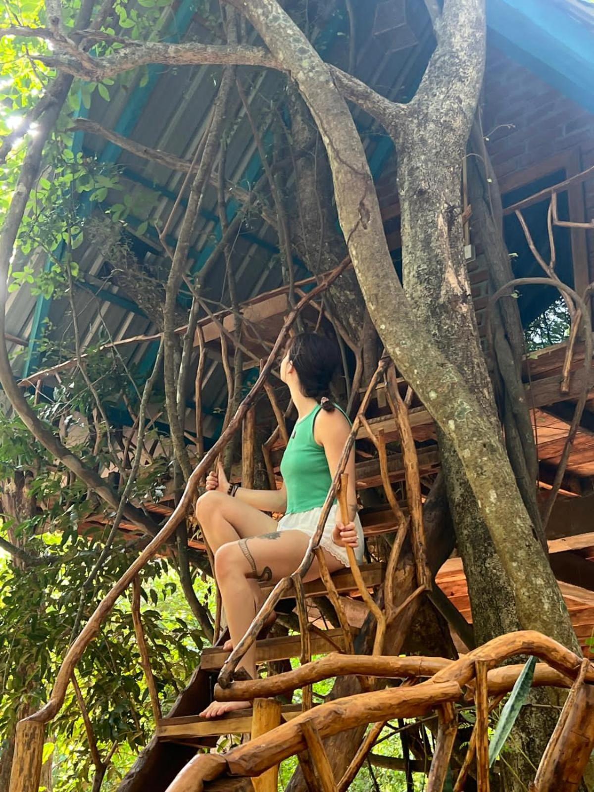 Ali Adi Eco Sigiriya