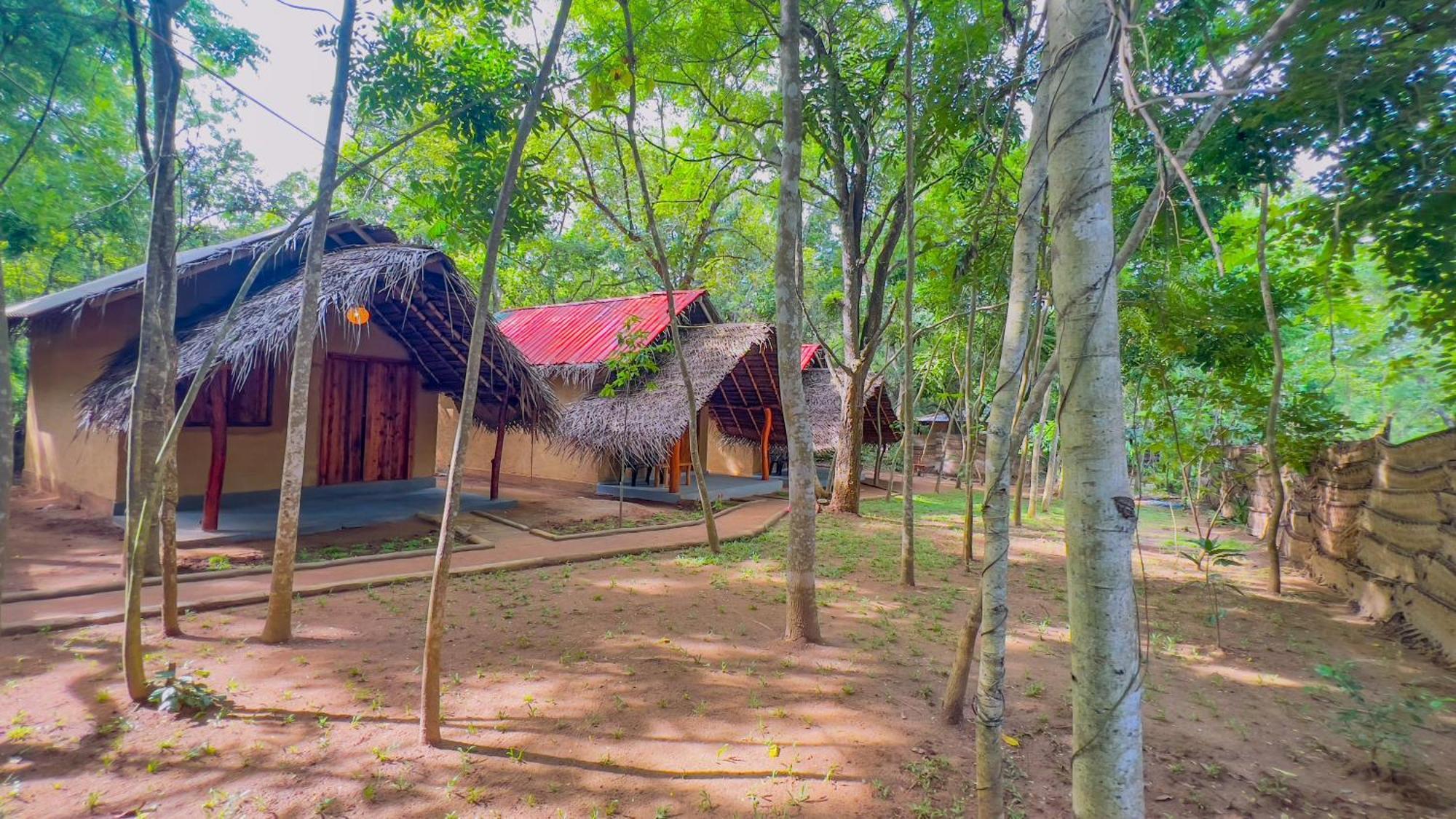 Jungle Host And Tree House Hostel *
