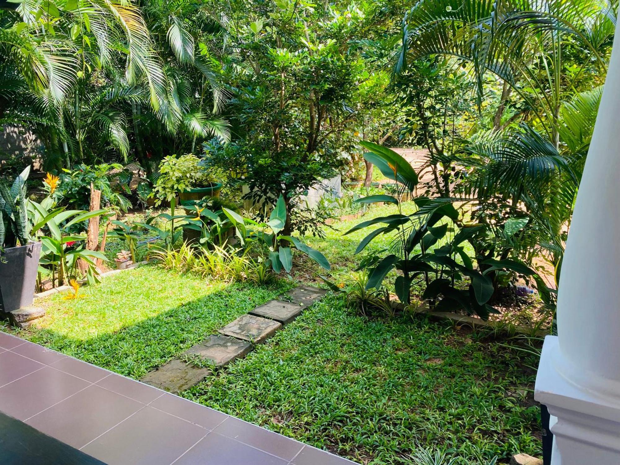 Homestay Fairview Dill
