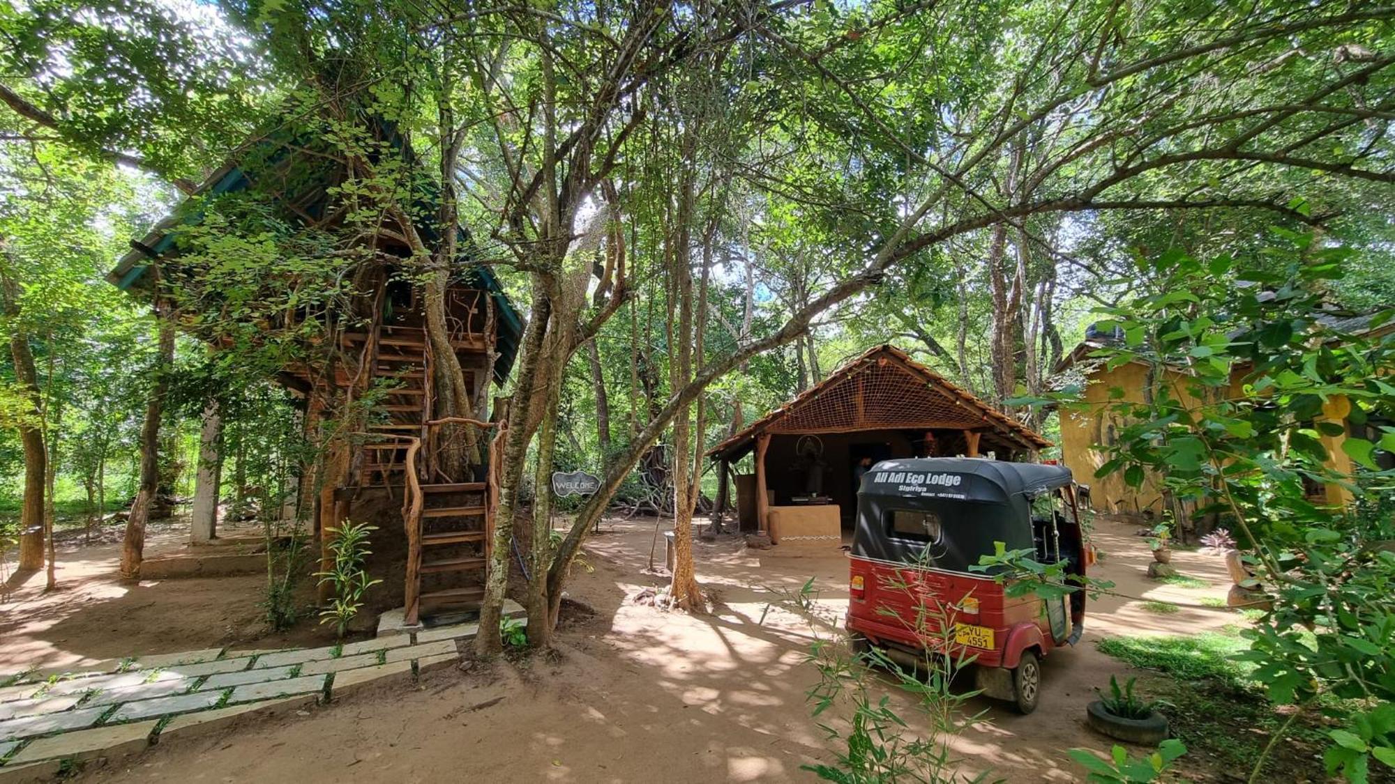 Ali Adi Eco * Sigiriya
