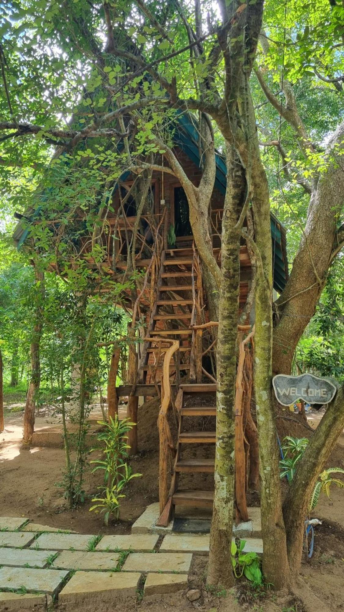 Ali Adi Eco Lodge *