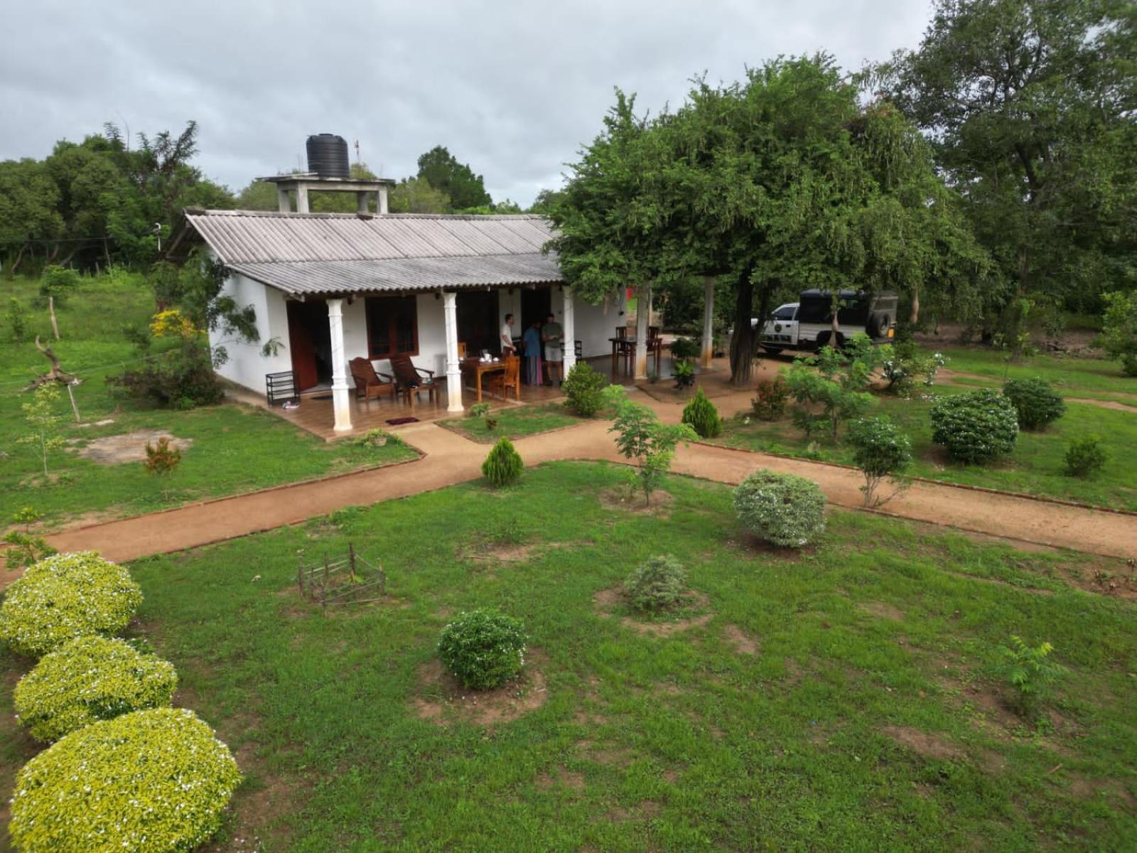 Sigiri Arana * Sigiriya