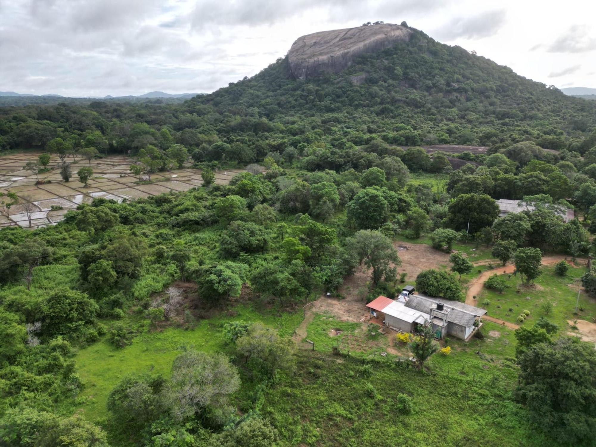 Guest house Sigiri Arana Sigiriya