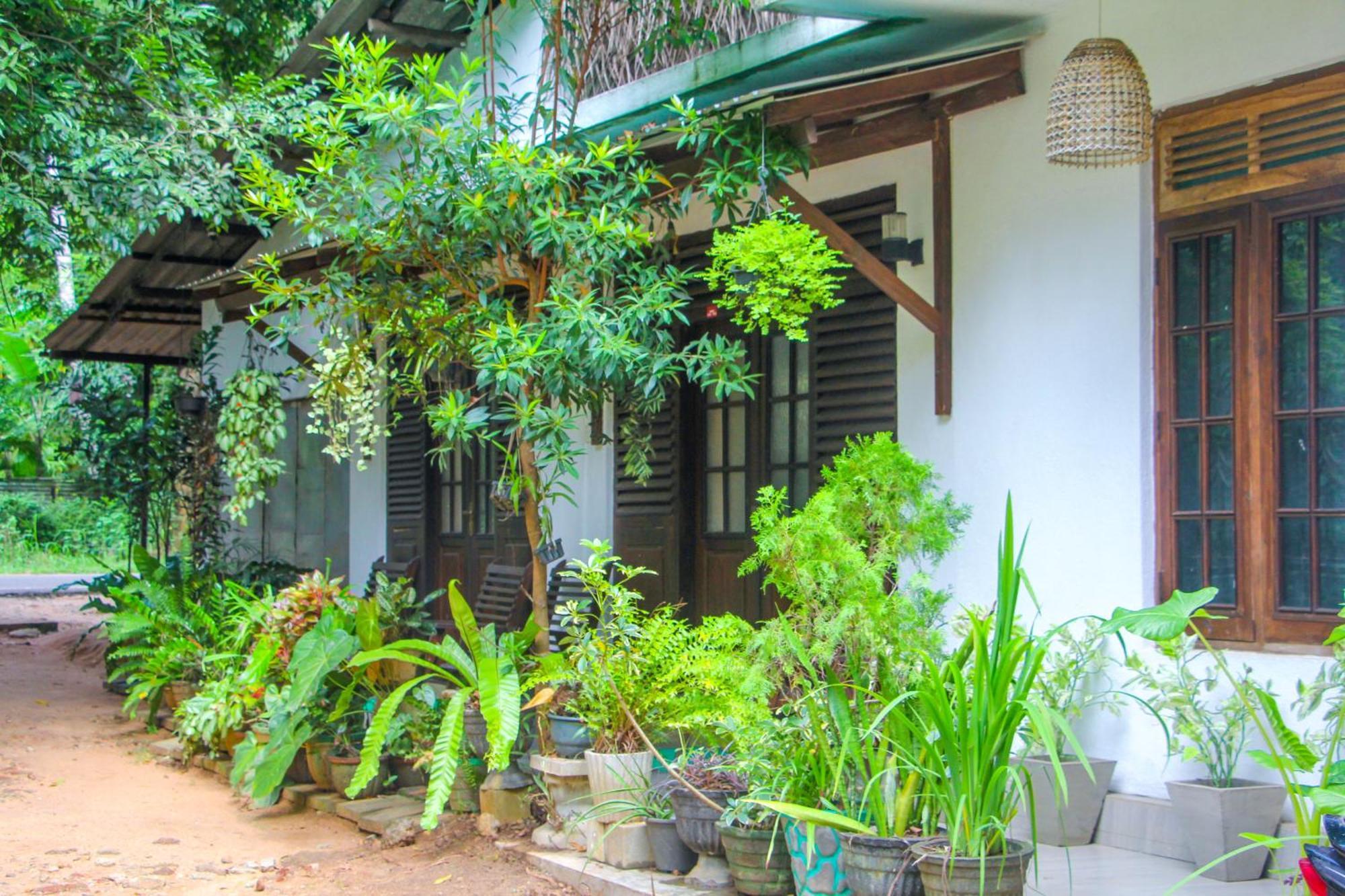 Guest house The Rock Sigiriya