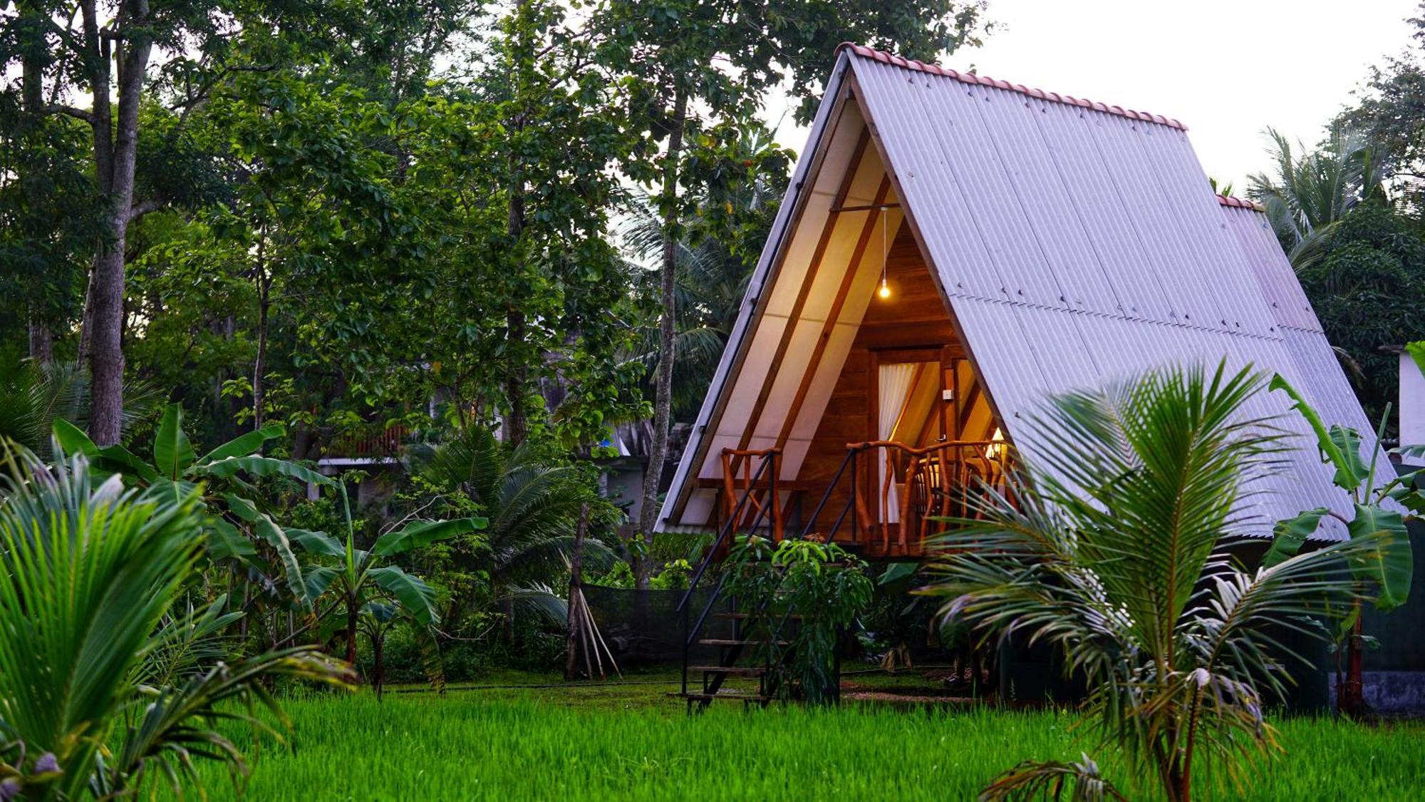 Bed & Breakfast Golden Rock Retreat Sigiriya