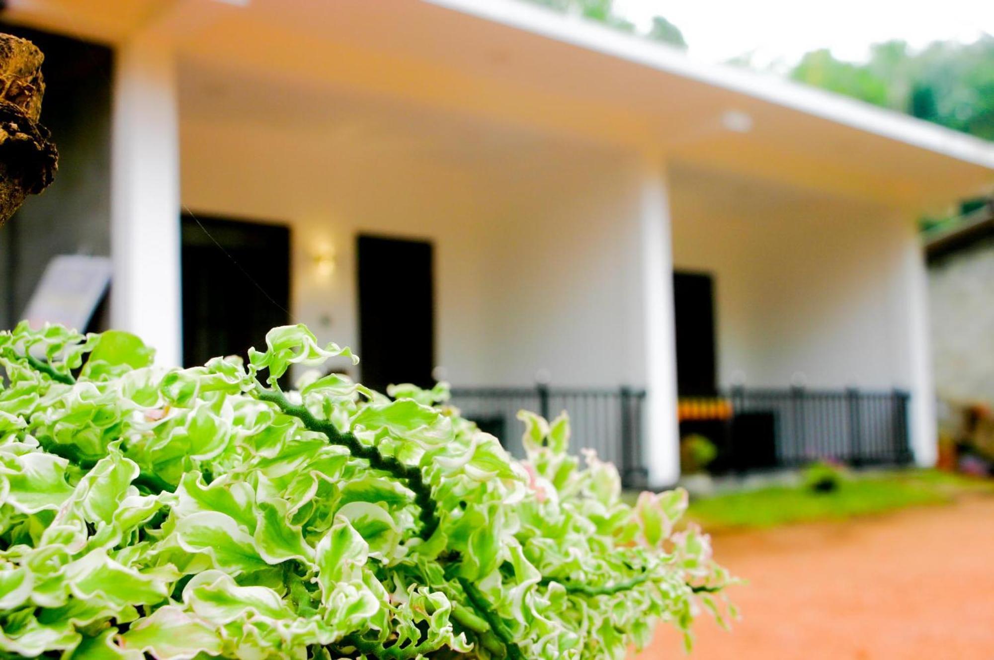 Hotel Sigiri Heaven Sigiriya