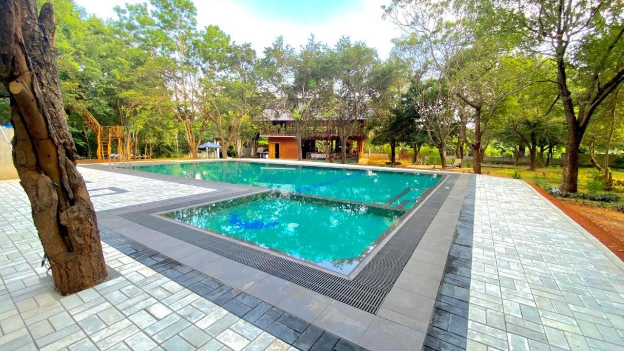 Ima * Sigiriya