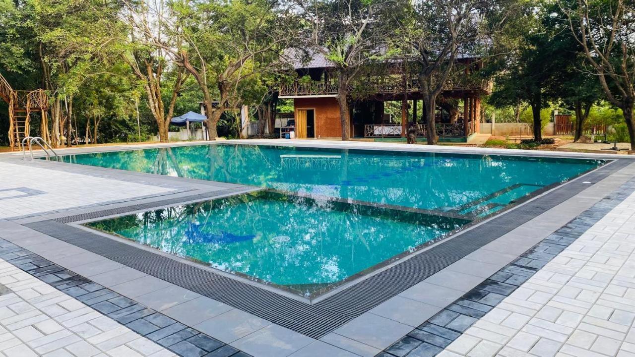 Ima * Sigiriya