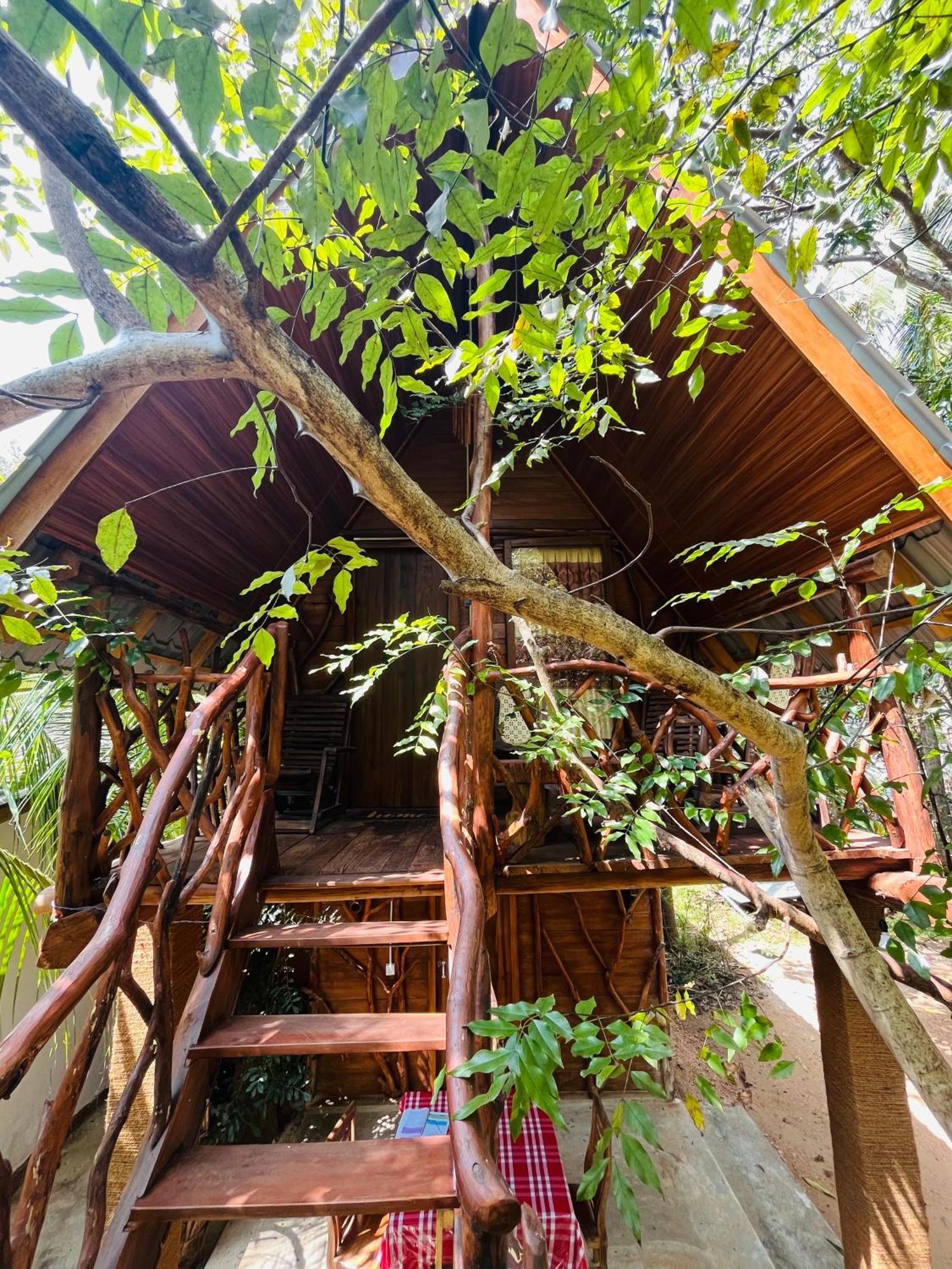 Guest house Sigiri Tree House