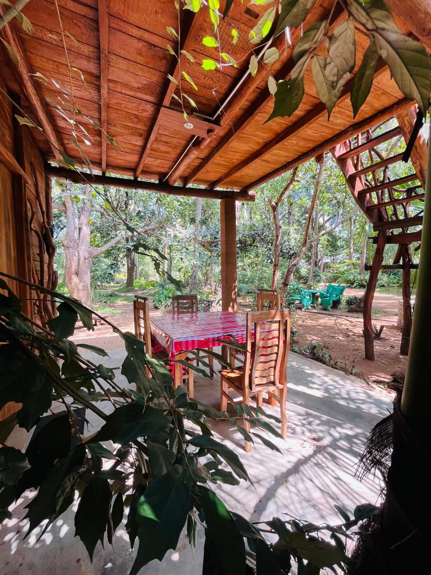 Sigiri Tree House