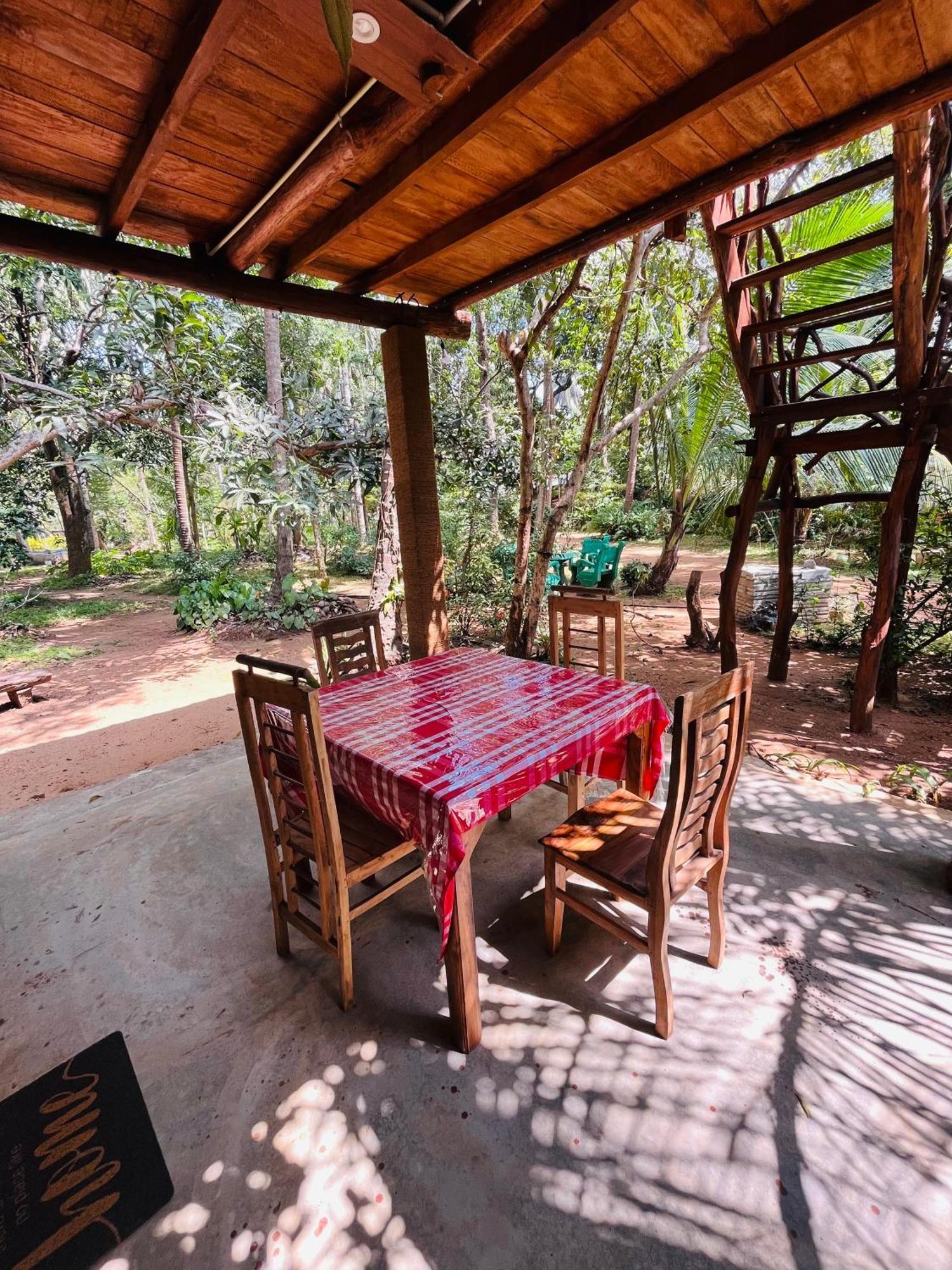 Guest house Sigiri Tree House
