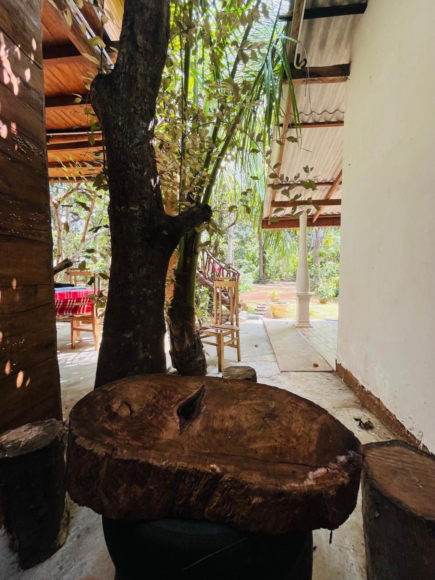 Sigiri Tree House Guest house *