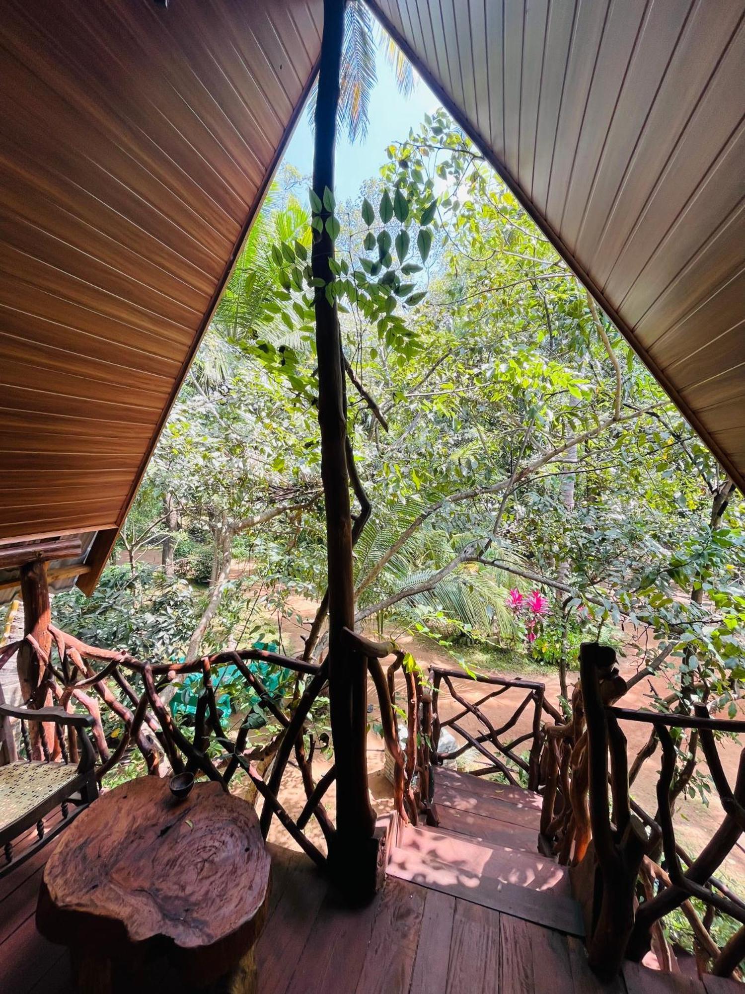 Sigiri Tree House Guest house