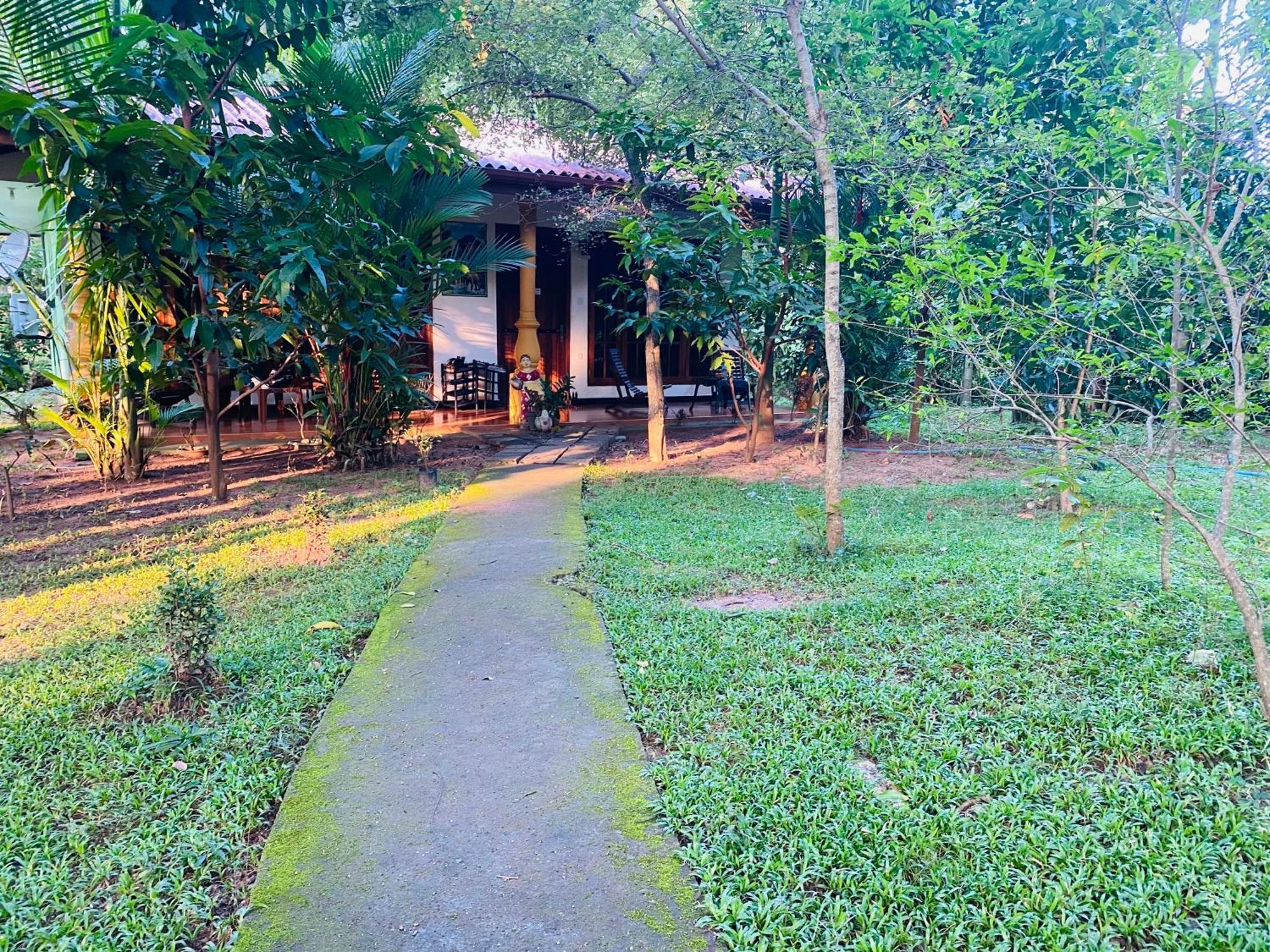 Ranasinghe Nature