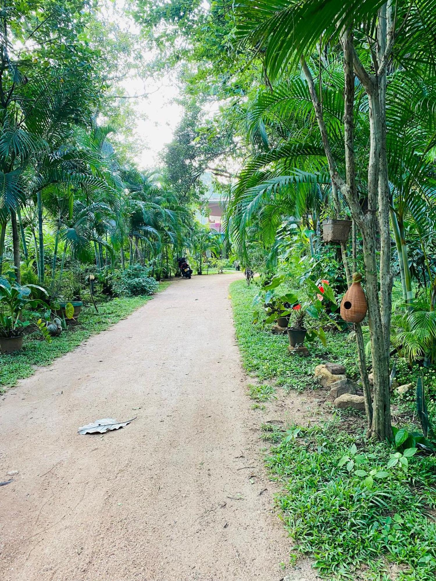 Ranasinghe Nature Hotel *