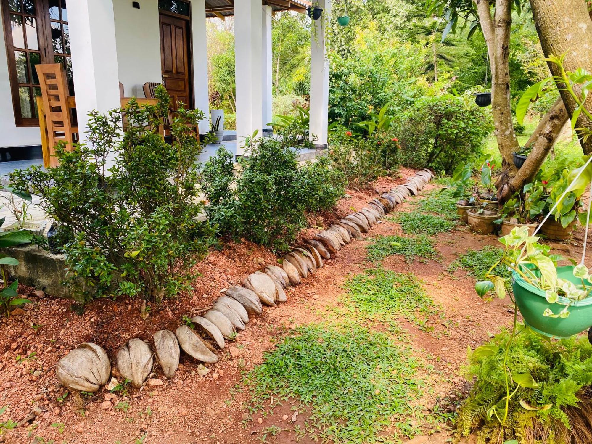 Fairview Dill Homestay *